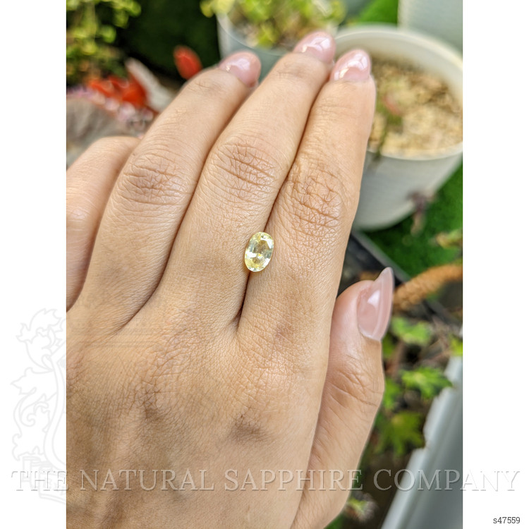 1.29 Ct. Yellow Sapphire from Ceylon (Sri Lanka)