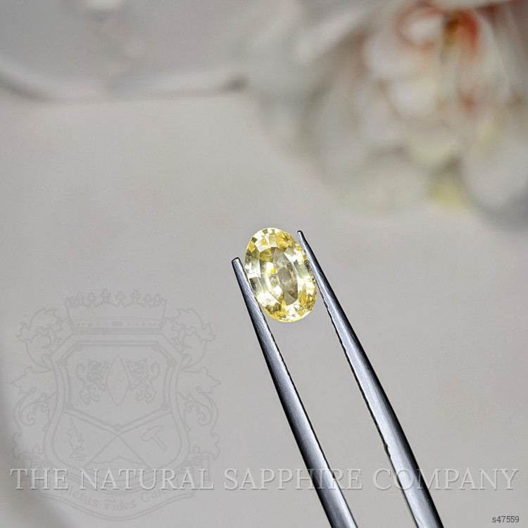1.29 Ct. Yellow Sapphire from Ceylon (Sri Lanka)