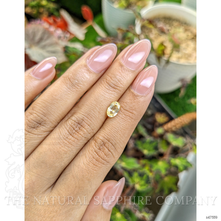 1.29 Ct. Yellow Sapphire from Ceylon (Sri Lanka)