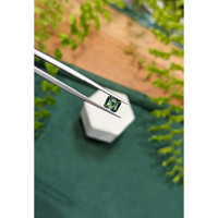 1.47 Ct. Bluish Green Sapphire from Madagascar Life Style