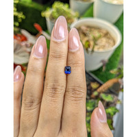1.10 Ct. Blue Sapphire from Ceylon (Sri Lanka) Life Style