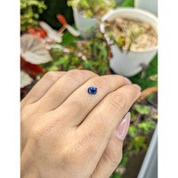 1.10 Ct. Blue Sapphire from Ceylon (Sri Lanka) Life Style