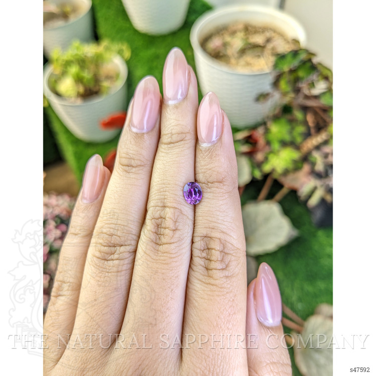 1.03 Ct. Pinkish Purple Sapphire from Ceylon (Sri Lanka)