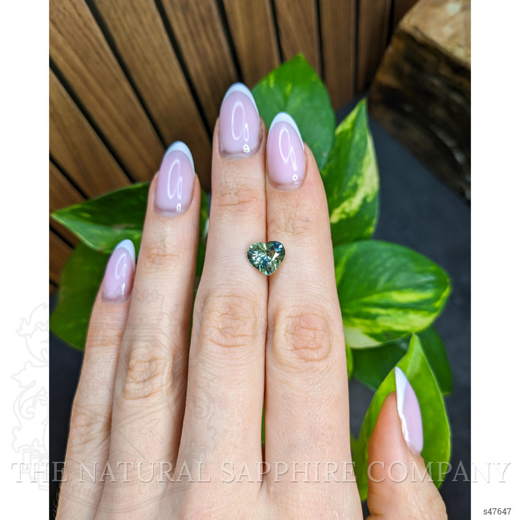 3.01 Ct. Bi Color / Parti Sapphire from Madagascar