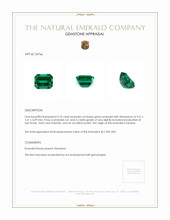 3.10 Ct. Emerald from Zambia Appraisal