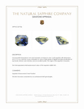 1.04 Ct. Bi Color / Parti Sapphire from Tanzania Appraisal