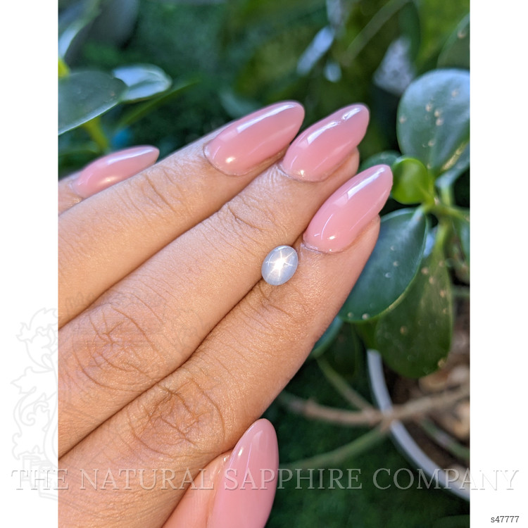 1.24 Ct. Bluish Grey Star Sapphire from Ceylon (Sri Lanka)
