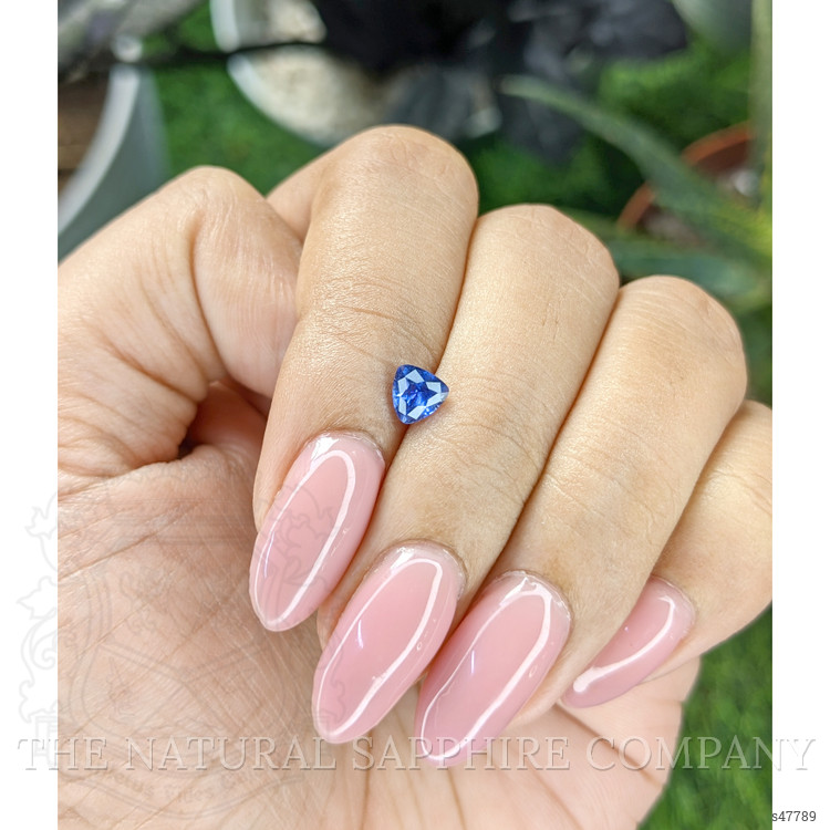 0.58 Ct. Blue Sapphire from Ceylon (Sri Lanka)