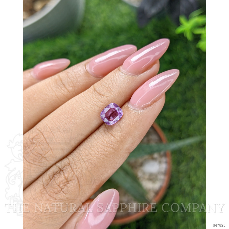 1.53 Ct. Purple Sapphire from Madagascar
