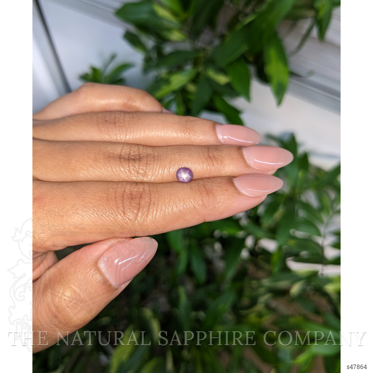 1.34 Ct. Pinkish Purple Star Sapphire from Ceylon (Sri Lanka)