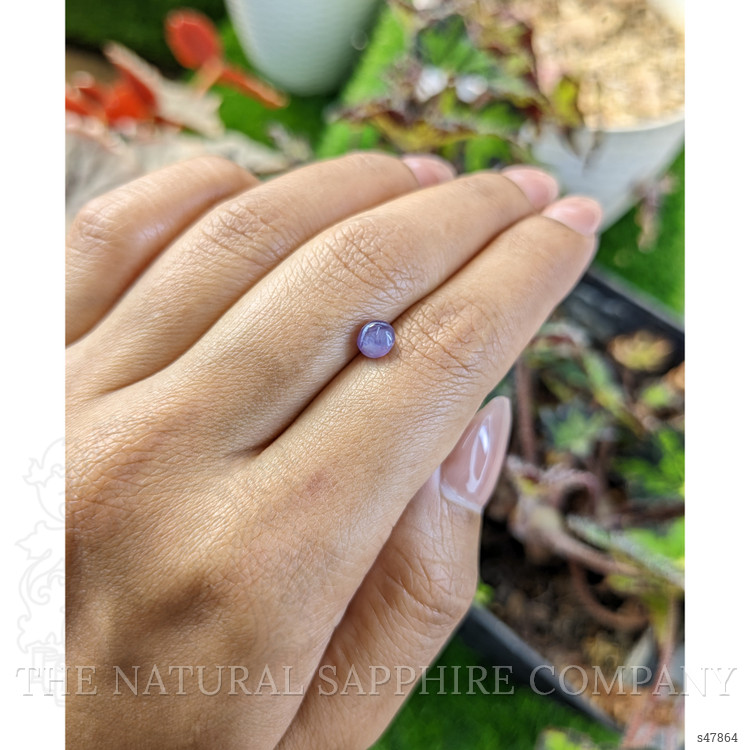 1.34 Ct. Pinkish Purple Star Sapphire from Ceylon (Sri Lanka)
