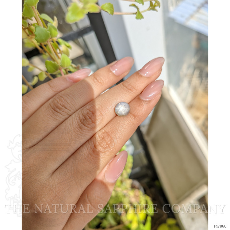 2.92 Ct. Grey Star Sapphire from Ceylon (Sri Lanka)