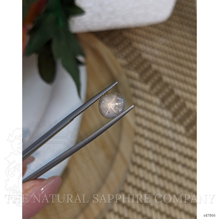 2.92 Ct. Grey Star Sapphire from Ceylon (Sri Lanka)