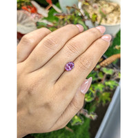1.81 Ct. Purplish Pink Sapphire from Ceylon (Sri Lanka) Life Style