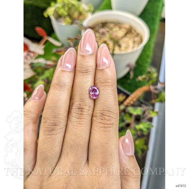 1.81 Ct. Purplish Pink Sapphire from Ceylon (Sri Lanka)