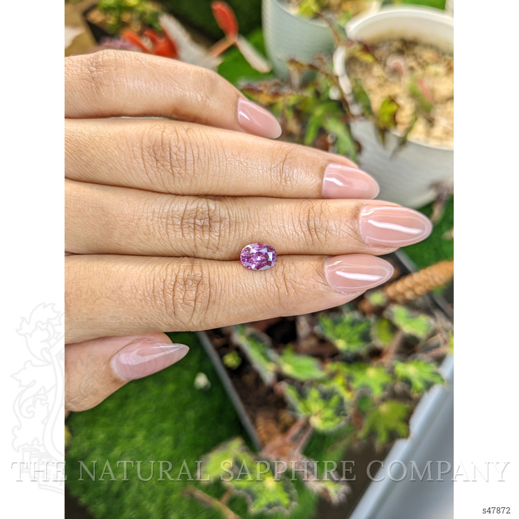 1.81 Ct. Purplish Pink Sapphire from Ceylon (Sri Lanka)
