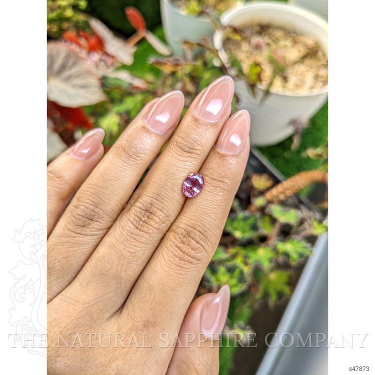 1.63 Ct. Purplish Pink Sapphire from Ceylon (Sri Lanka)