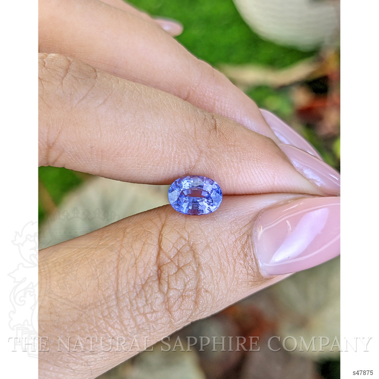 1.55 Ct. Violet Sapphire from Ceylon (Sri Lanka)