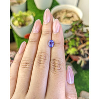 1.55 Ct. Violet Sapphire from Ceylon (Sri Lanka) Life Style