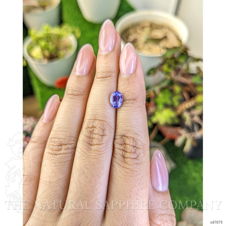 1.55 Ct. Violet Sapphire from Ceylon (Sri Lanka)