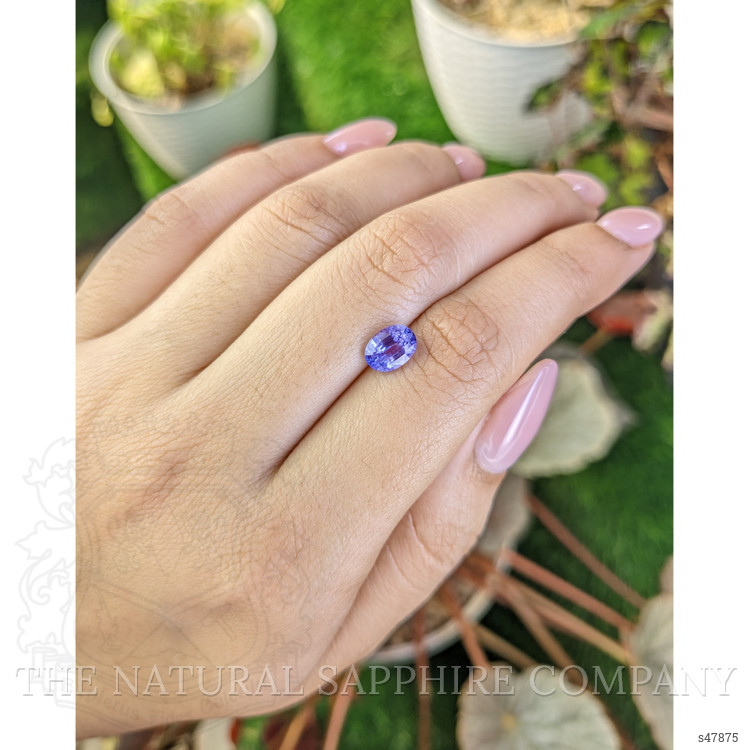 1.55 Ct. Violet Sapphire from Ceylon (Sri Lanka)