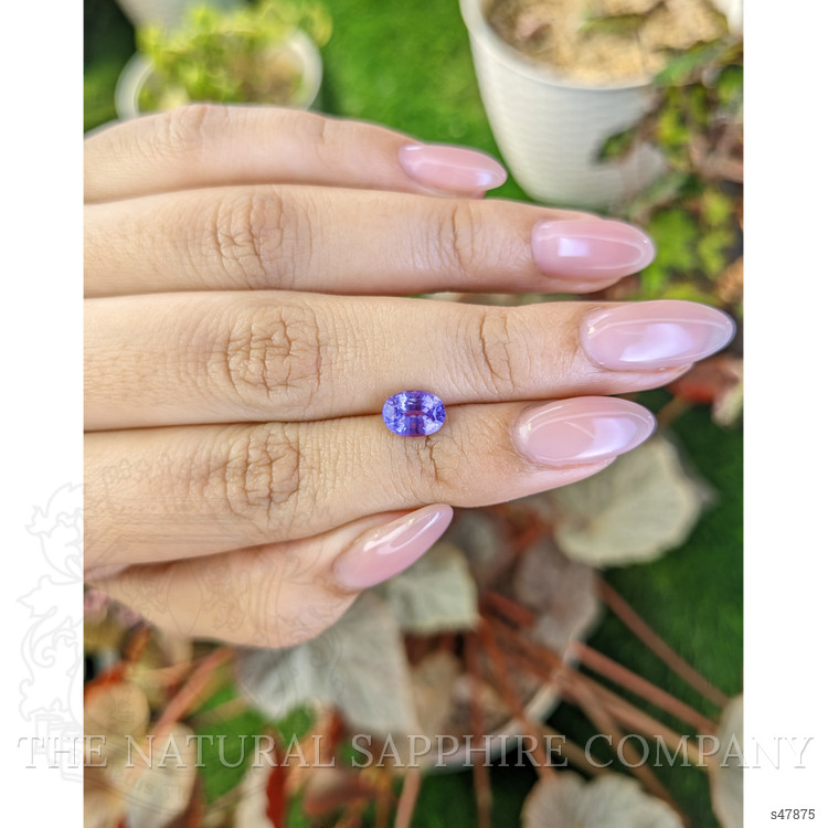 1.55 Ct. Violet Sapphire from Ceylon (Sri Lanka)