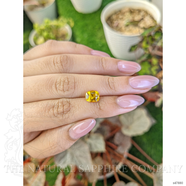 2.16 Ct. Yellow Sapphire from Ceylon (Sri Lanka)