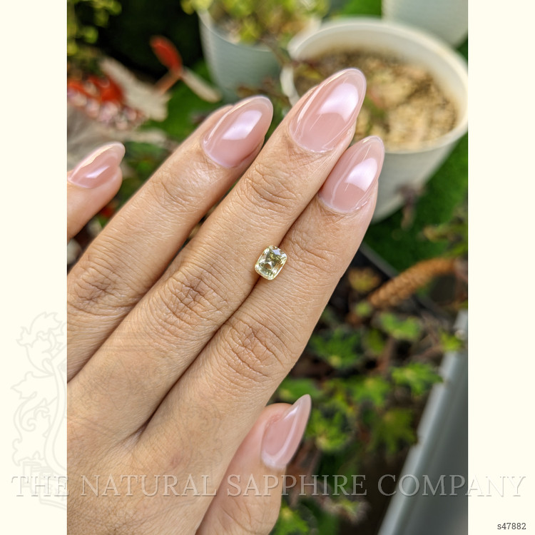 1.13 Ct. Yellow Sapphire from Ceylon (Sri Lanka)