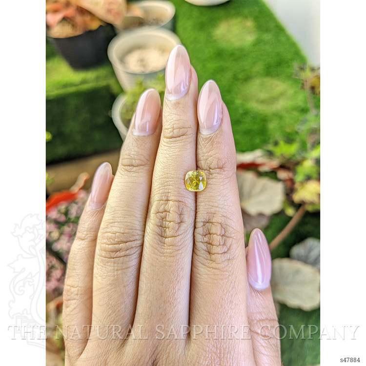 1.41 Ct. Yellow Sapphire from Ceylon (Sri Lanka)