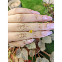 0.73 Ct. Yellow Sapphire from Ceylon (Sri Lanka) Life Style