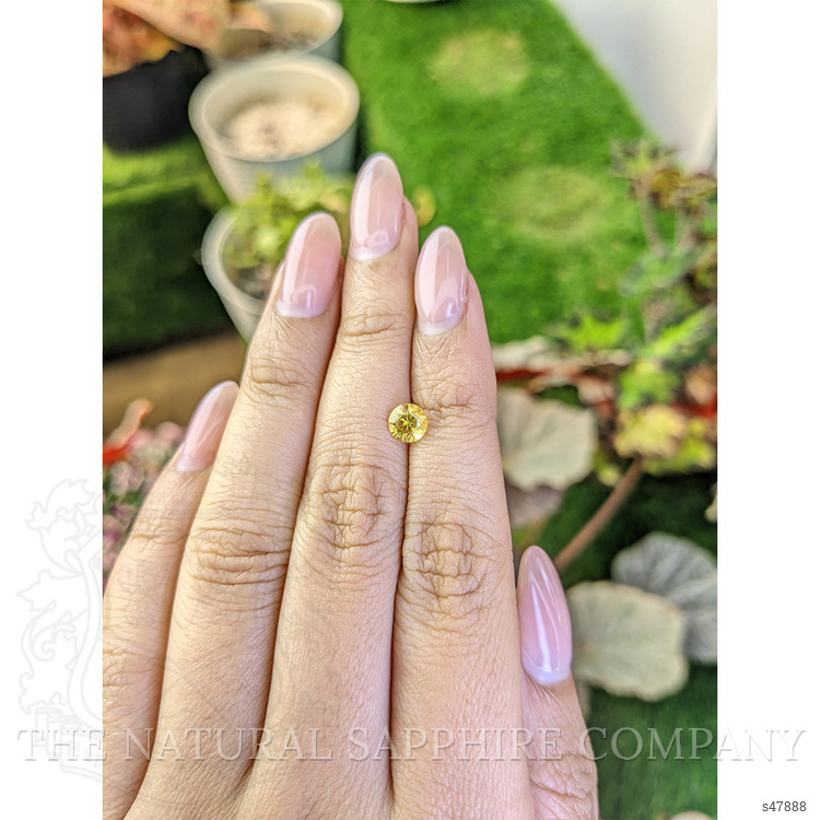 0.85 Ct. Yellow Sapphire from Ceylon (Sri Lanka)