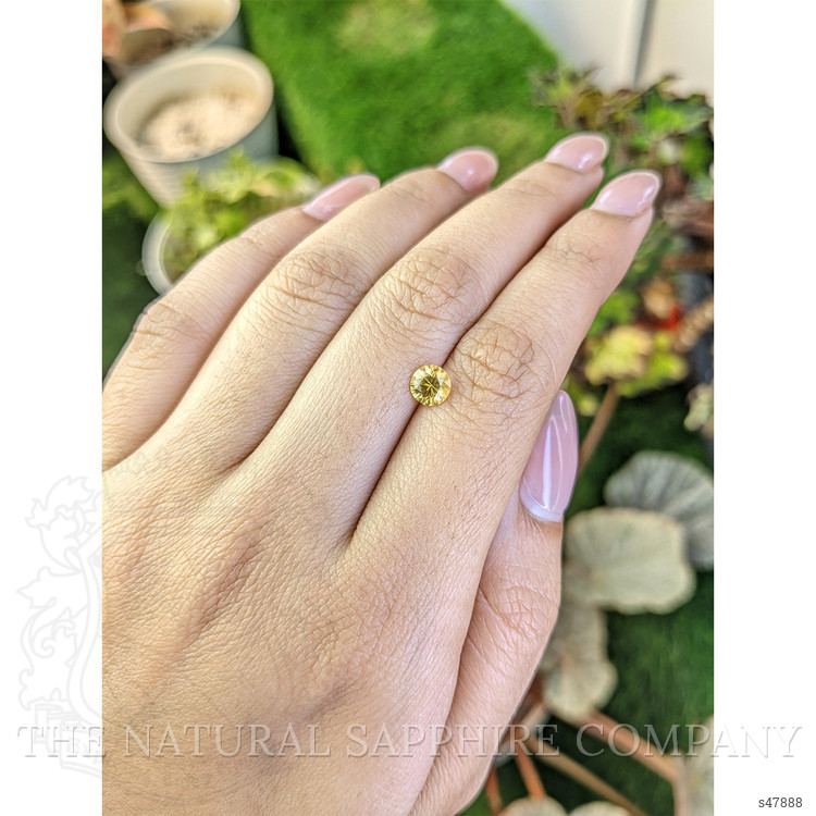 0.85 Ct. Yellow Sapphire from Ceylon (Sri Lanka)