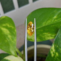 2.52 Ct. Yellow Sapphire from Ceylon (Sri Lanka) Life Style