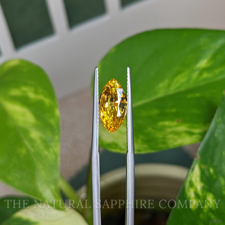 2.52 Ct. Yellow Sapphire from Ceylon (Sri Lanka)