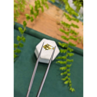 1.70 Ct. Yellow Sapphire from Ceylon (Sri Lanka) Life Style