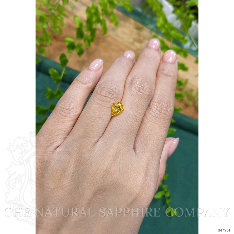 1.54 Ct. Yellow Sapphire from Ceylon (Sri Lanka)