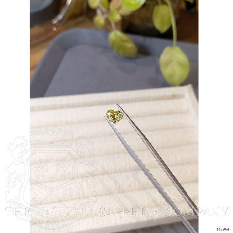 1.67 Ct. Yellow Sapphire from Ceylon (Sri Lanka)