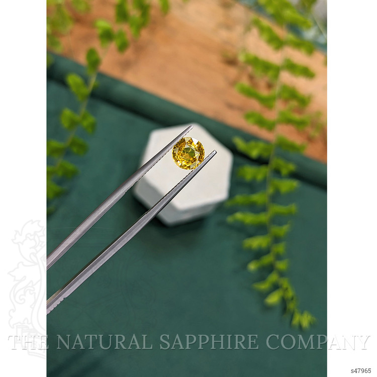 1.61 Ct. Yellow Sapphire from Ceylon (Sri Lanka)
