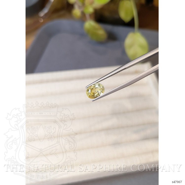 2.24 Ct. Yellow Sapphire from Ceylon (Sri Lanka)