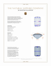 Jewelry 3 D Scan Report