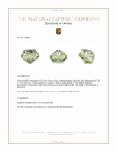 2.01 Ct. Yellowish Green Sapphire from Montana Appraisal