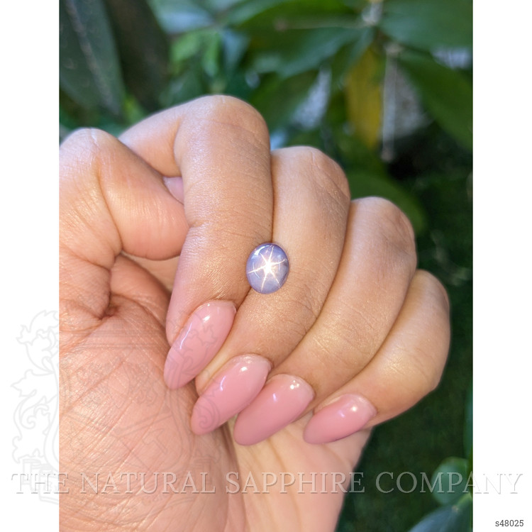 3.78 Ct. Purple Star Sapphire from Ceylon (Sri Lanka)
