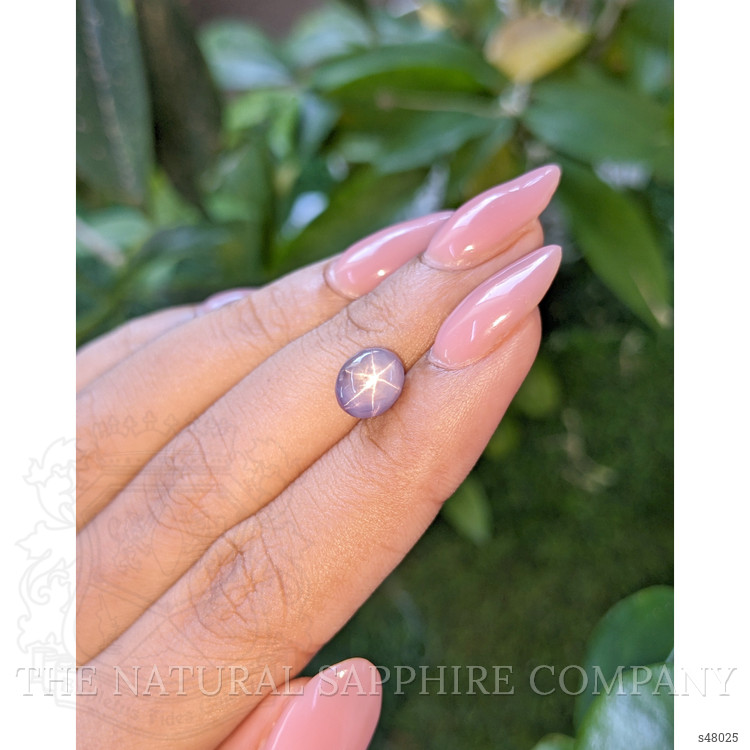 3.78 Ct. Purple Star Sapphire from Ceylon (Sri Lanka)
