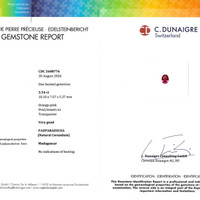 3.54 Ct. Padparadscha Sapphire from Madagascar Scan Report