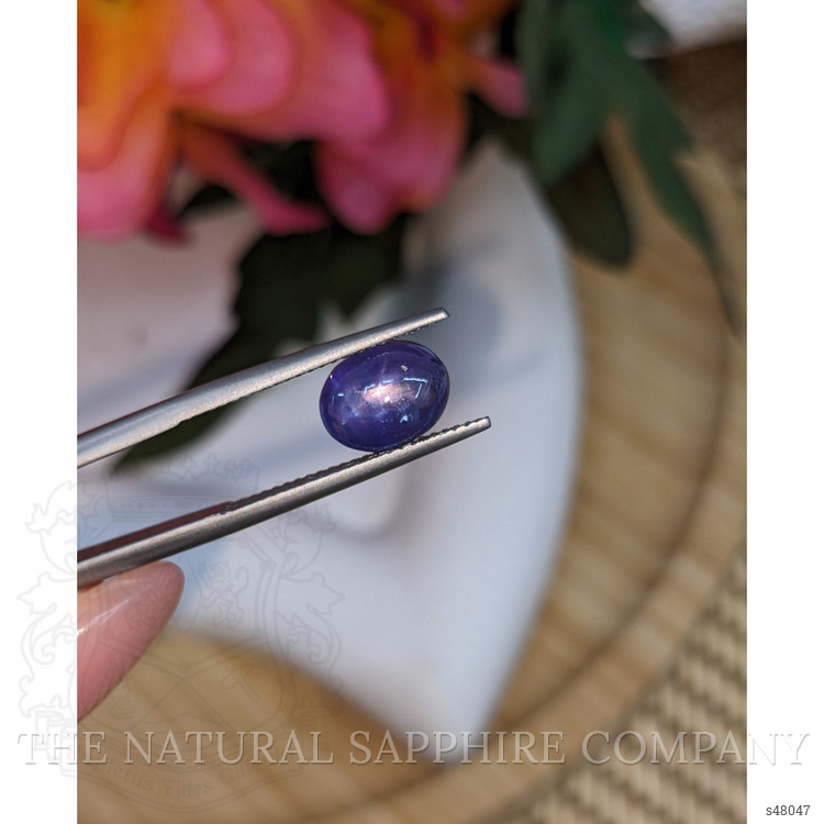 4.19 Ct. Purplish Blue Star Sapphire from Ceylon (Sri Lanka)