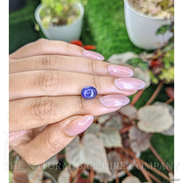4.19 Ct. Purplish Blue Star Sapphire from Ceylon (Sri Lanka)