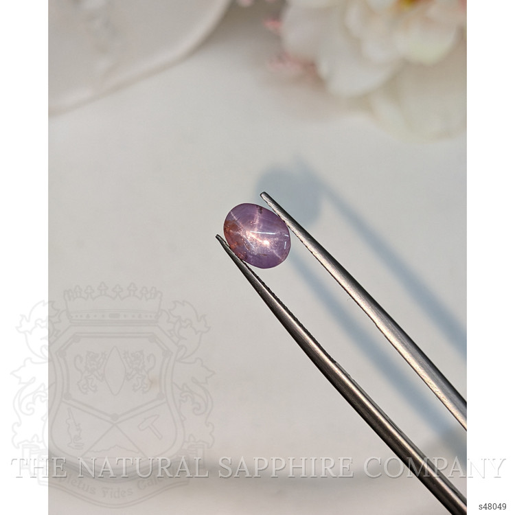 1.94 Ct. Pinkish Purple Star Sapphire from Ceylon (Sri Lanka)