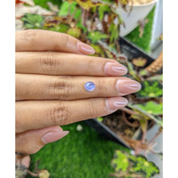 1.65 Ct. Blue Star Sapphire from Ceylon (Sri Lanka) Life Style