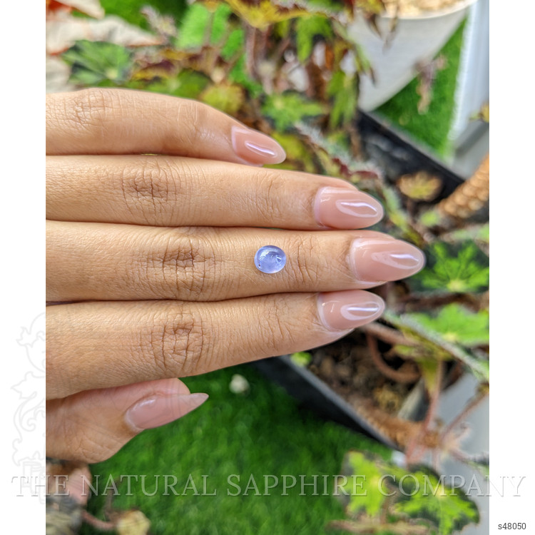 1.65 Ct. Blue Star Sapphire from Ceylon (Sri Lanka)