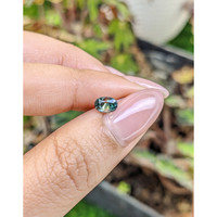 0.90 Ct. Bi Color / Parti Sapphire from Ceylon (Sri Lanka) Life Style